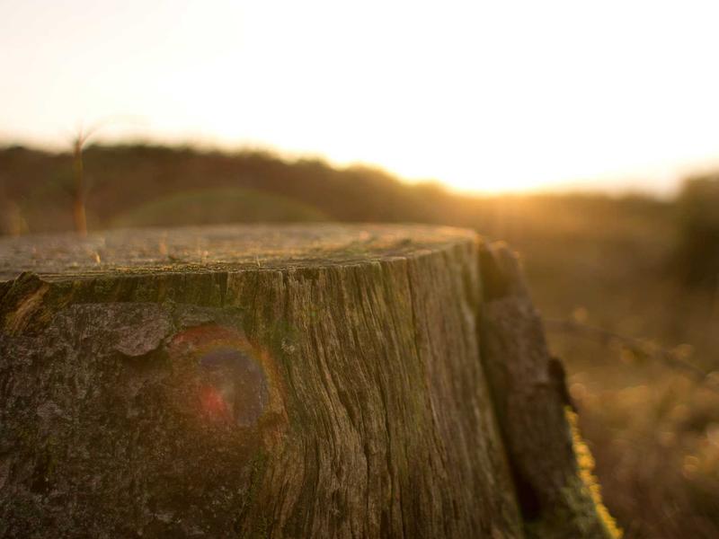 sudoku cell selection screenshot 6